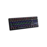 کیبورد باسیم مکانیکال گیمینک رپو Rapoo V500PRO-87 Gaming Keyboard